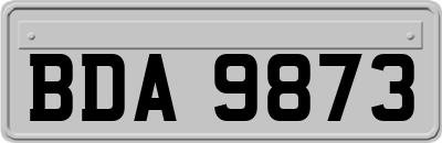 BDA9873