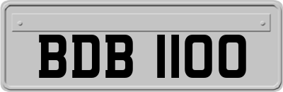 BDB1100
