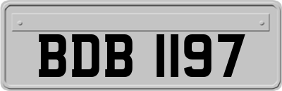 BDB1197