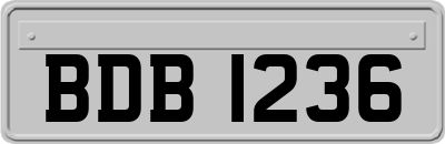 BDB1236