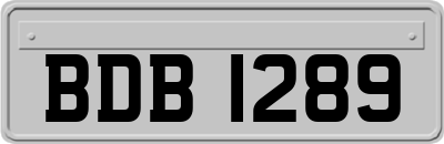 BDB1289