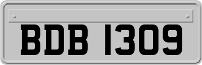 BDB1309
