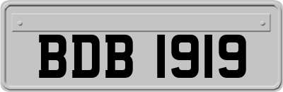 BDB1919