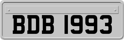 BDB1993