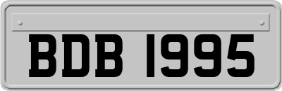 BDB1995