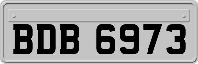 BDB6973