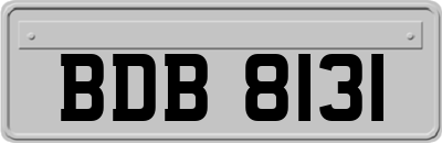 BDB8131