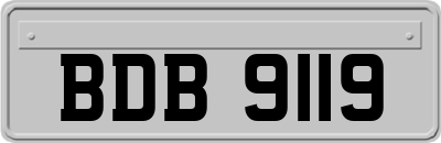 BDB9119