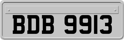 BDB9913