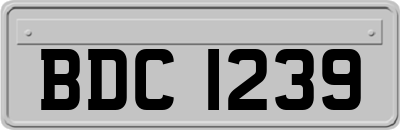 BDC1239