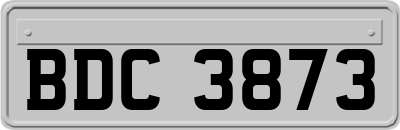 BDC3873
