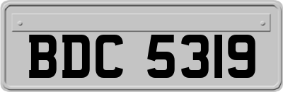BDC5319