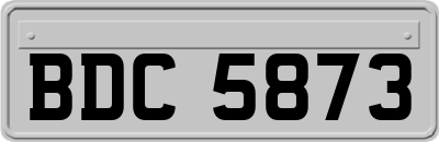 BDC5873