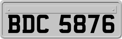BDC5876