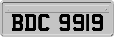 BDC9919