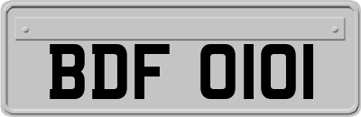 BDF0101