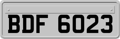 BDF6023