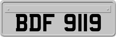 BDF9119
