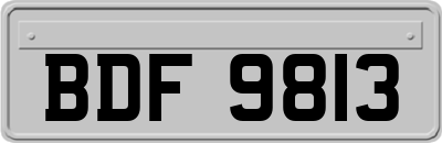 BDF9813