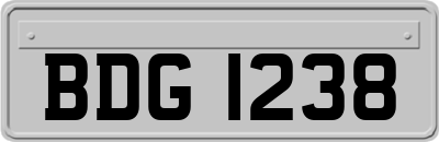 BDG1238