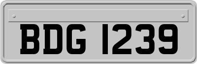 BDG1239