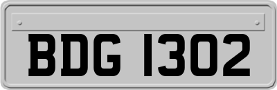 BDG1302
