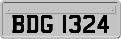 BDG1324