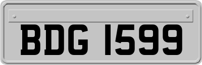 BDG1599