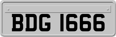 BDG1666