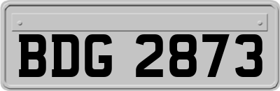 BDG2873