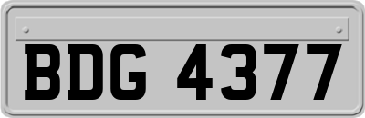 BDG4377
