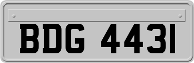 BDG4431
