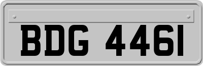 BDG4461