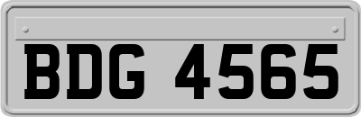 BDG4565