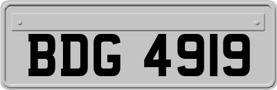BDG4919