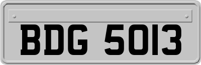 BDG5013