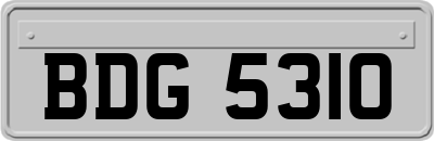 BDG5310