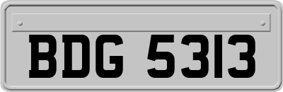 BDG5313