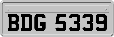 BDG5339