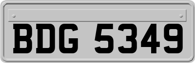 BDG5349