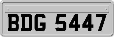 BDG5447