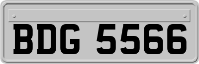 BDG5566