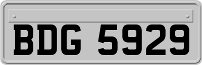 BDG5929