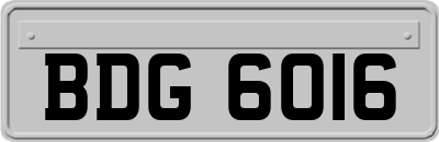 BDG6016