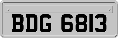 BDG6813