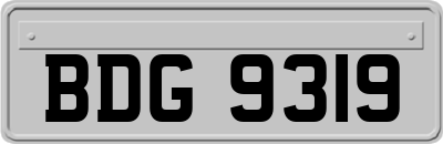 BDG9319