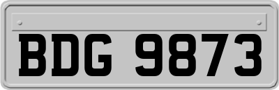 BDG9873