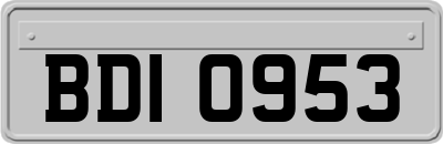 BDI0953