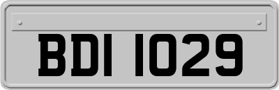 BDI1029