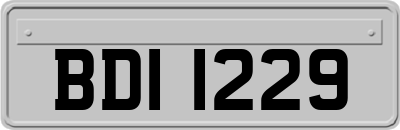 BDI1229